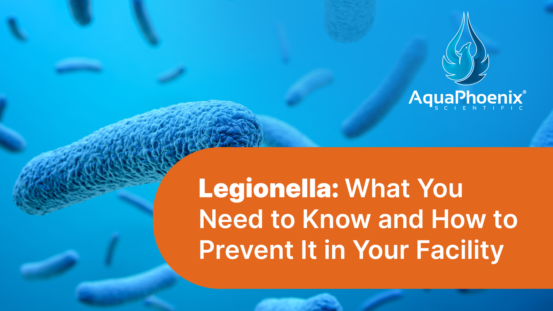 Legionella Prevention: Essential Tips and Key Information Guide